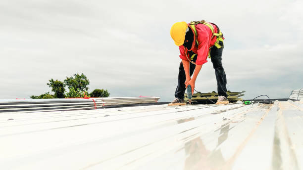 Best Roof Installation  in Susanville, CA