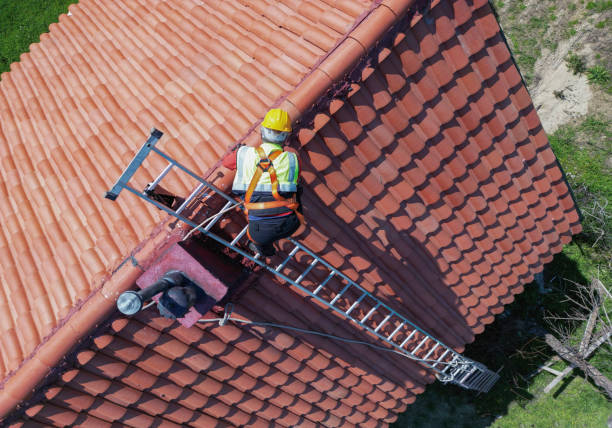 Best Skylight Installation and Repair  in Susanville, CA