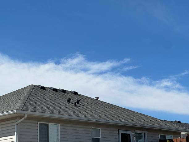 Best Wood Shake Roofing  in Susanville, CA